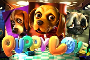 bs-puppy-love-plus