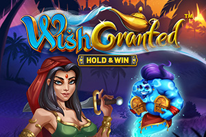bs-wish-granted