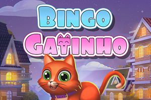 h8-bingo-gatinho