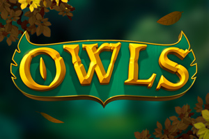 no-owls