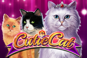 og-cutie-cat