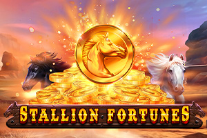pa-stallion-fortunes