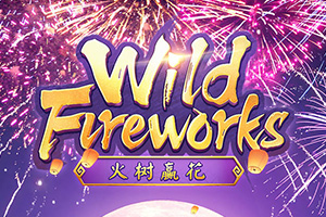 pf-wild-fireworks
