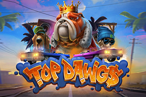 qr-top-dawgs