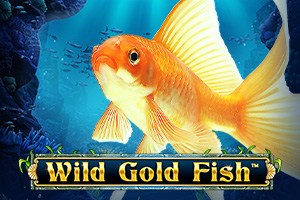 sp-wild-gold-fish