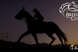 horse-racing-returns-to-crisis-mode-with-equine-death-ahead-of-breeders-cup-300x200-1